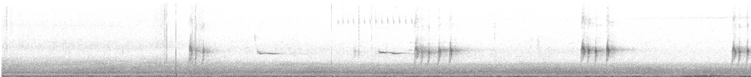 Antillennachtschwalbe - ML250199501