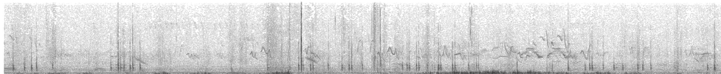 Weidenmusendrossel - ML250203631