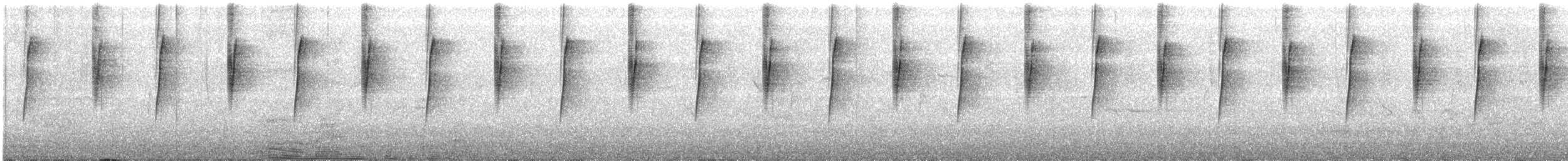 Lesser Violetear - ML250218521
