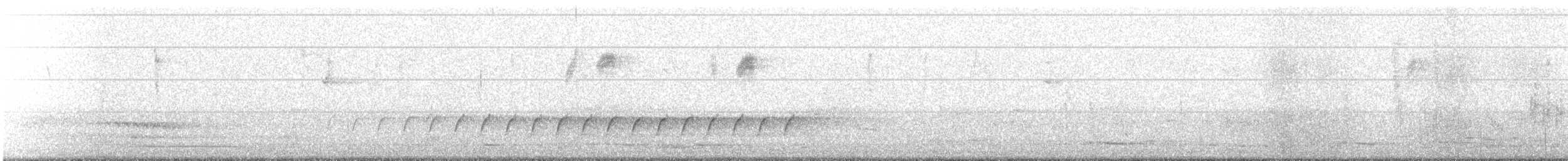 Королаз плямистобокий [група leucophaea] - ML250251111