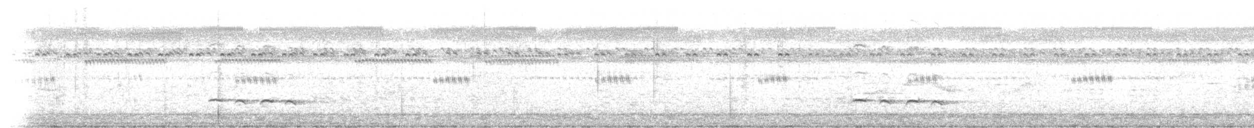 Banded Bay Cuckoo - ML250255771