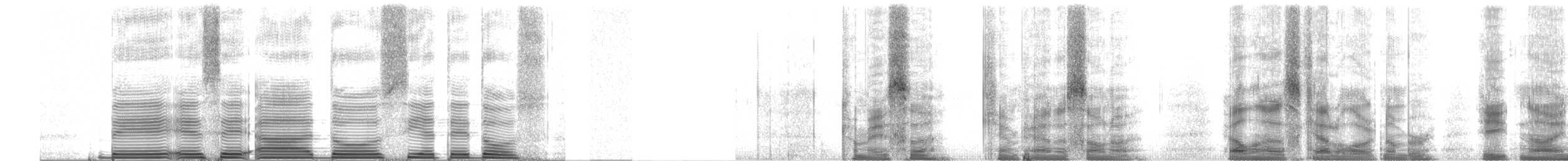 Streifenbrust-Ameisendrossel - ML250271