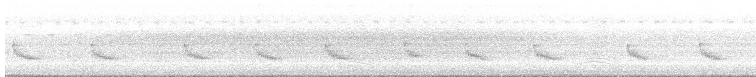 Carolina Wren - ML250284591