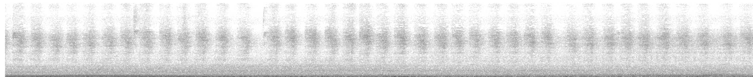 Carolina Wren - ML250285751