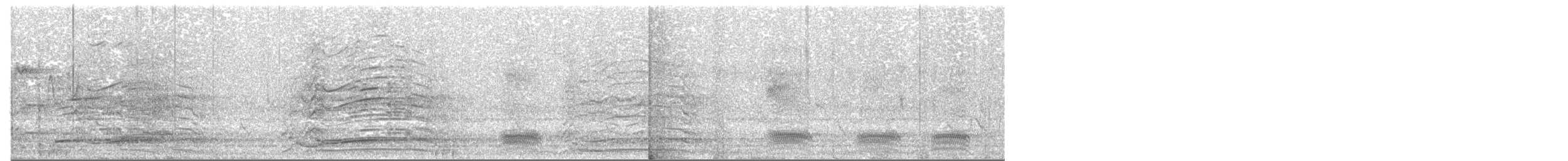 orel rybožravý - ML250292401