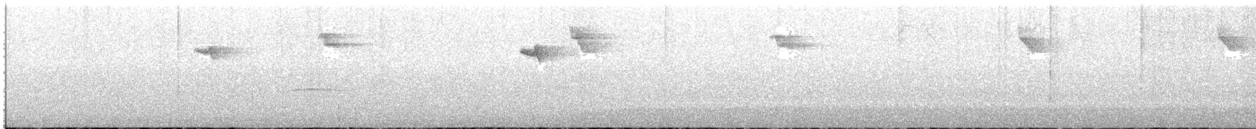 Карликовый колибри-отшельник - ML250337611