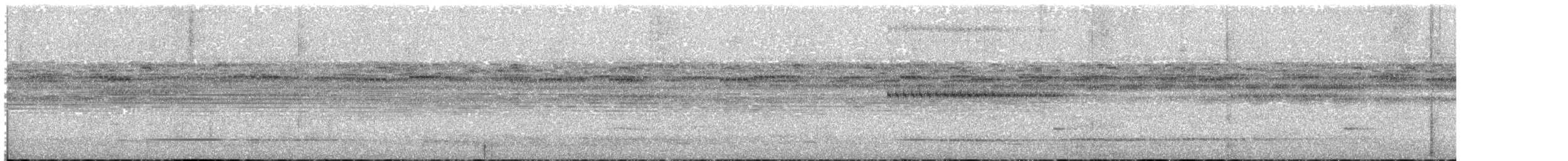Variegated Tinamou - ML250340081
