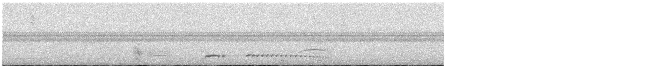 Tinamou à petit bec - ML250359091