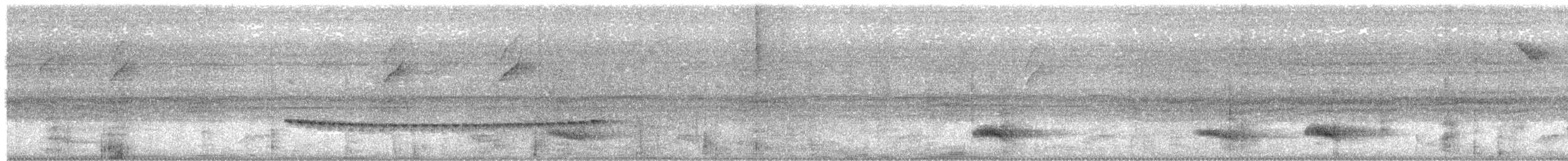 Rostkappen-Ameisendrossel - ML250380961