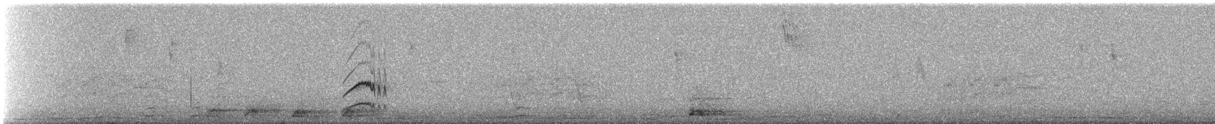 Kaya Sinekkapanı (bellicosa/pallidior) - ML250395841