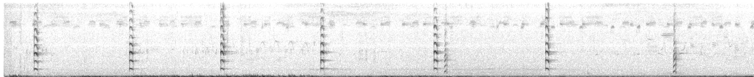 Uroilo amerikarra - ML250407451