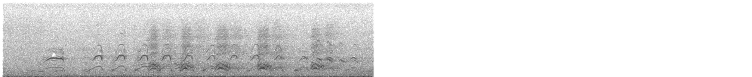 Western Gull - ML250409571