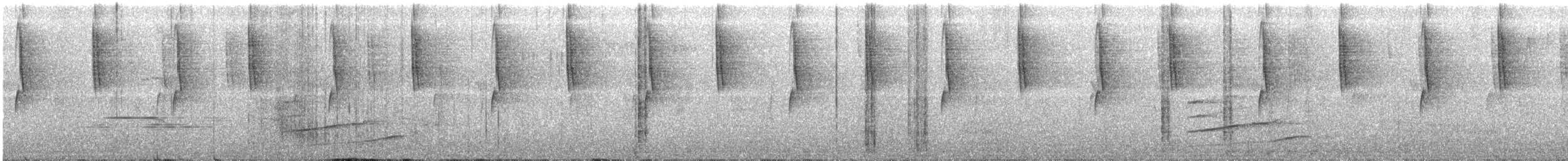 Lesser Violetear - ML250411821