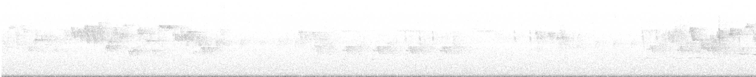 Troglodyte de Baird - ML250415861