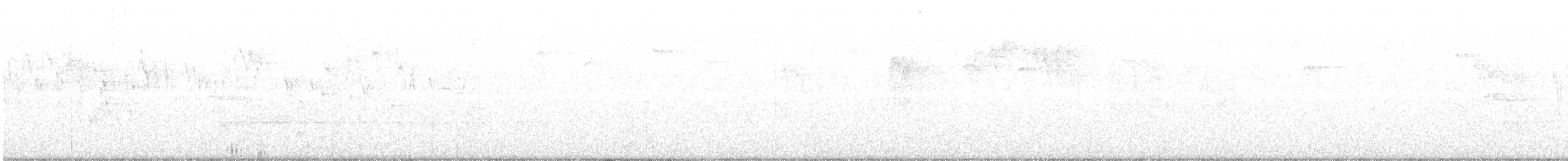Разноголосый дрозд - ML250416431