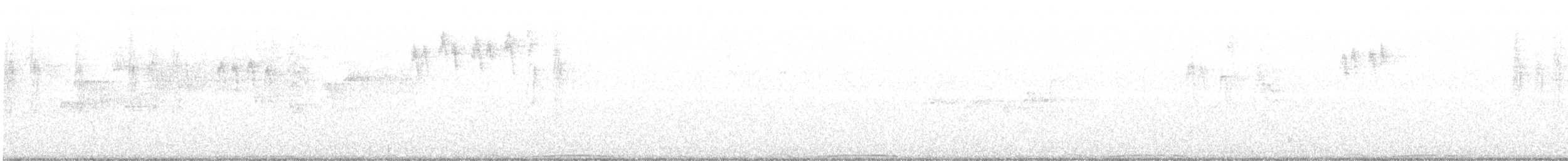 Полосатохвостый голубь - ML250416731