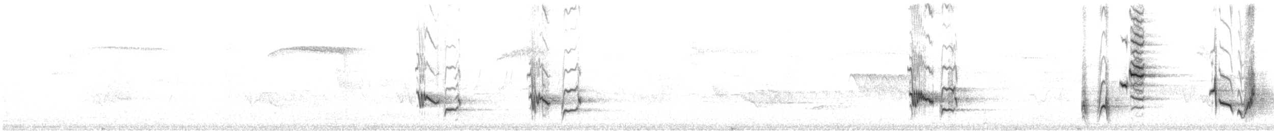 Пересмішник сірий - ML250428761