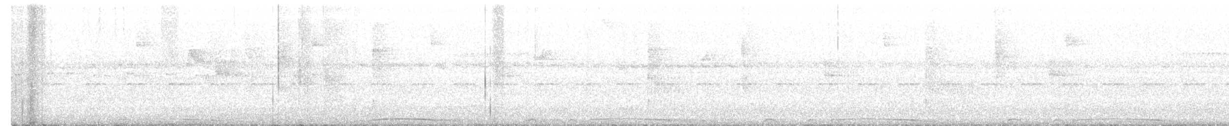 holub neotropický - ML250431391