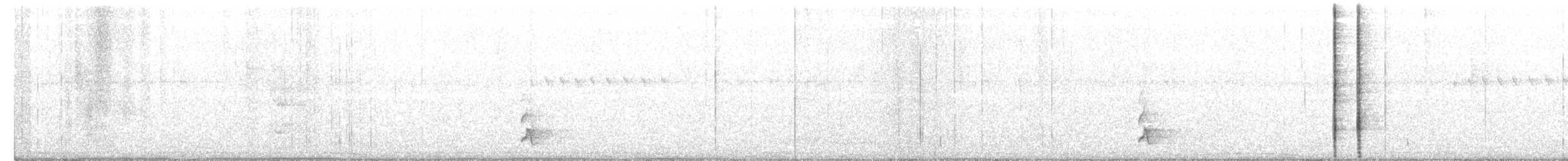 Swallow-tailed Manakin - ML250433491