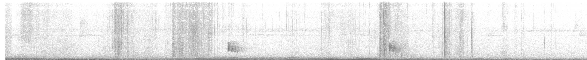 manakin sp. - ML250433511