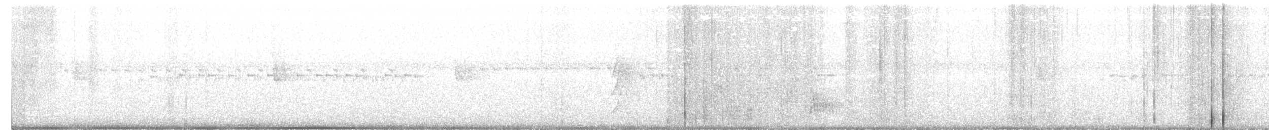 White-throated Spadebill - ML250433571