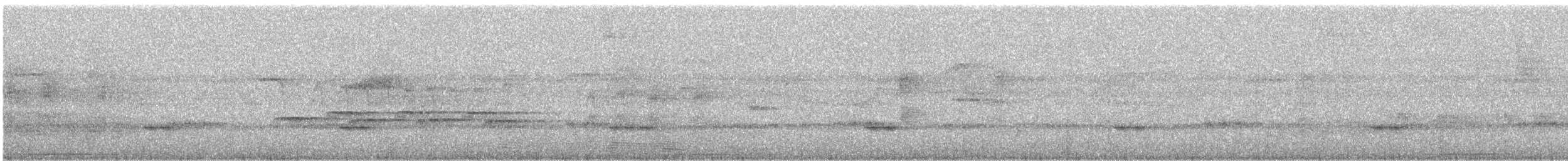 Willis's Antbird - ML250452281