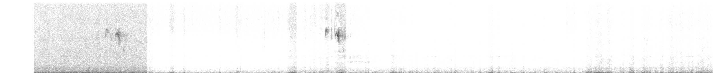 sýkora karolínská - ML25047361