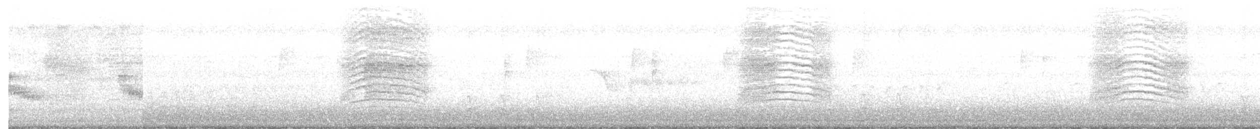 Gray Catbird - ML250500291