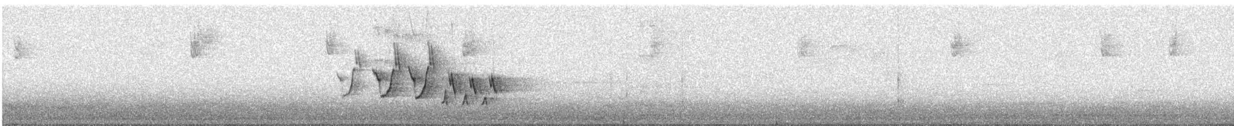 Черногорлая хвойница - ML250511771