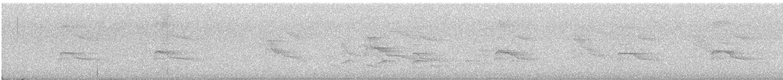 rapace sp. - ML250523951