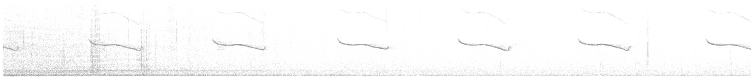 Breitspiegel-Nachtschwalbe - ML250535031