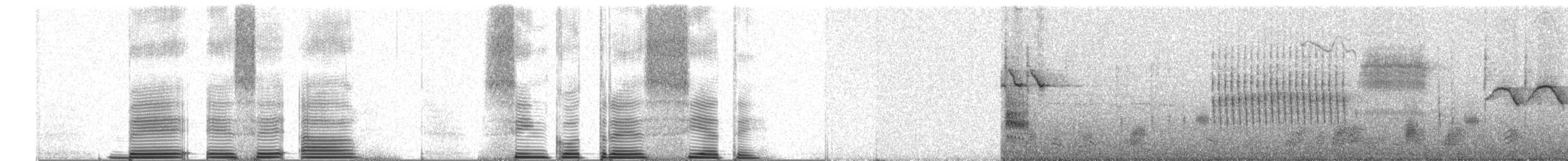 Grass Wren (Paramo) - ML250536