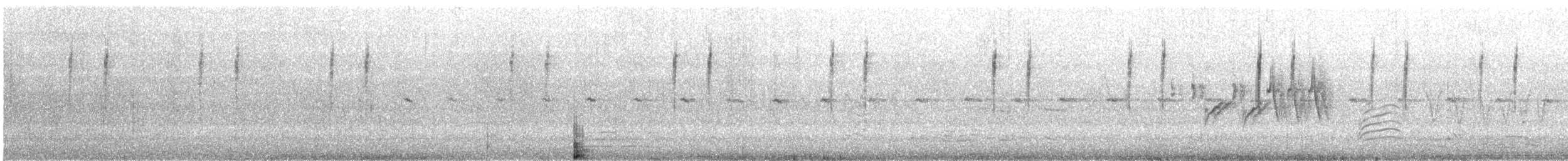 Cisticole des joncs (groupe tinnabulans) - ML250549581