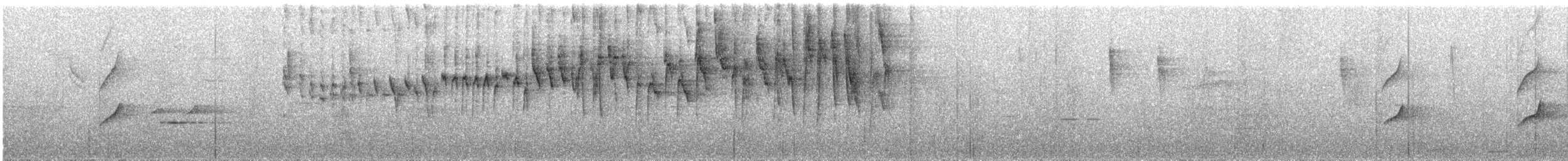 Three-striped Warbler (daedalus) - ML250565761