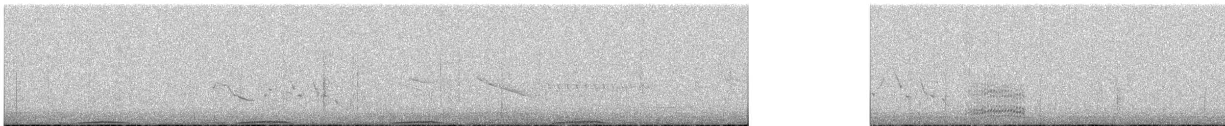 holub pruhoocasý - ML250590481