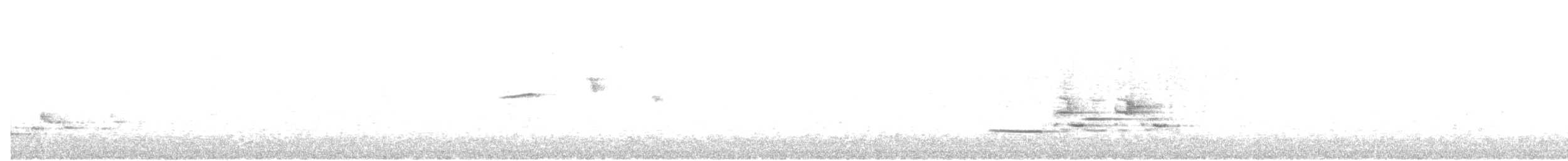Дрізд-короткодзьоб плямистоволий - ML250608271