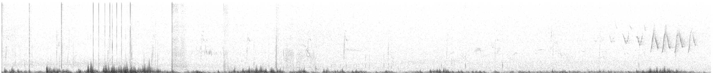 Червоїд сіроголовий - ML250628091