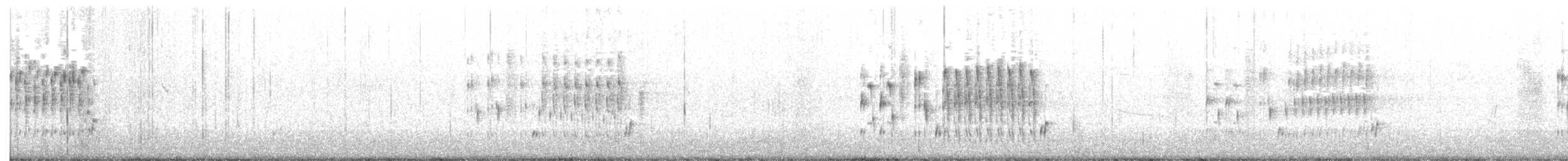 Troglodyte des marais - ML250629111