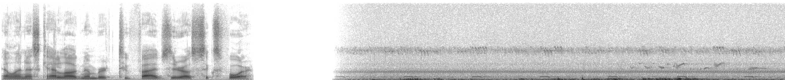 Petit-duc de Bruce - ML25064