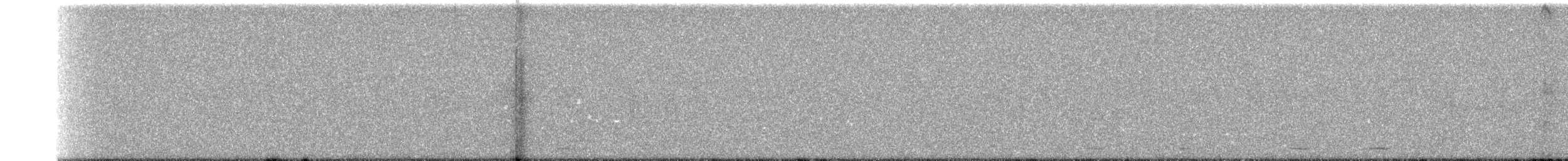 Kumral Paçalı Baykuş - ML250650601