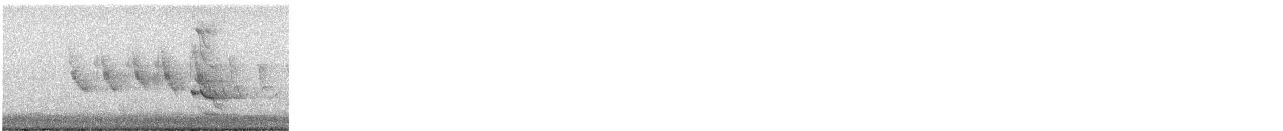 ハシボソキツツキ - ML250667401