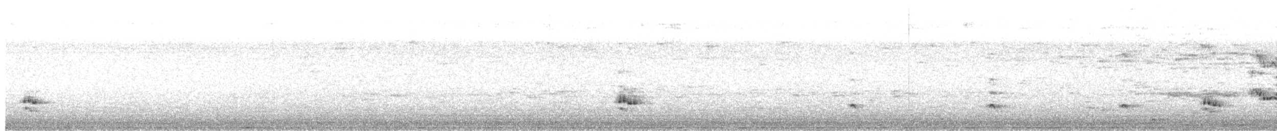 שרקרק לבן-גרון - ML250675211