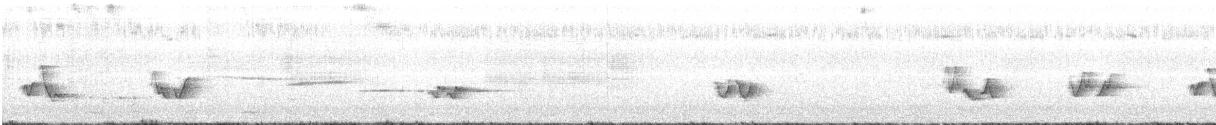 Vireo begigorria - ML250699701