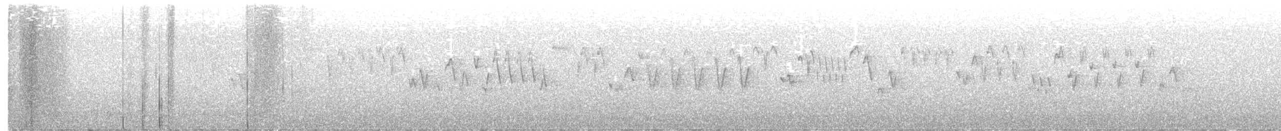 Troglodyte de Baird - ML250730581