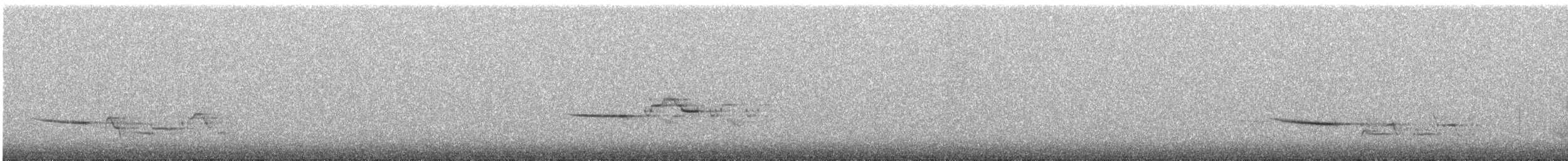 Дрізд-короткодзьоб плямистоволий - ML250742741