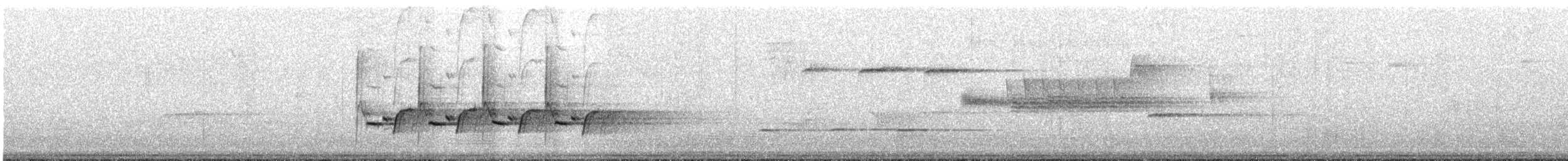 Поплітник каролінський - ML250768291
