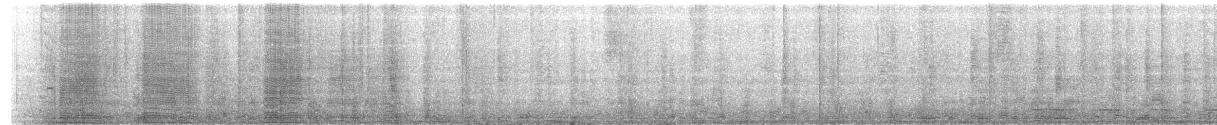Ібіс білий - ML250777241