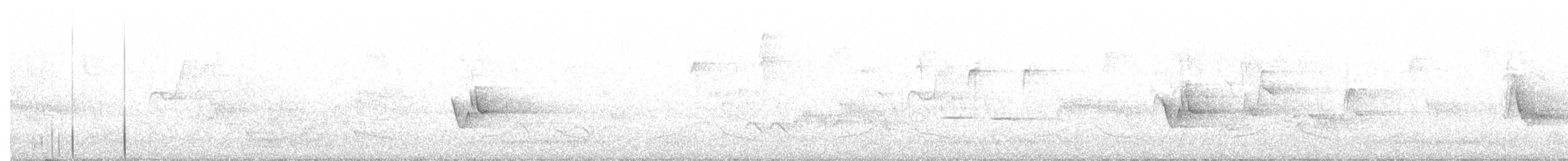 solitary vireo sp. - ML250782081