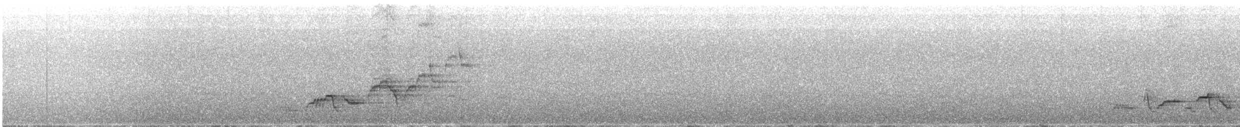 Дрізд-короткодзьоб Cвенсона - ML250783131