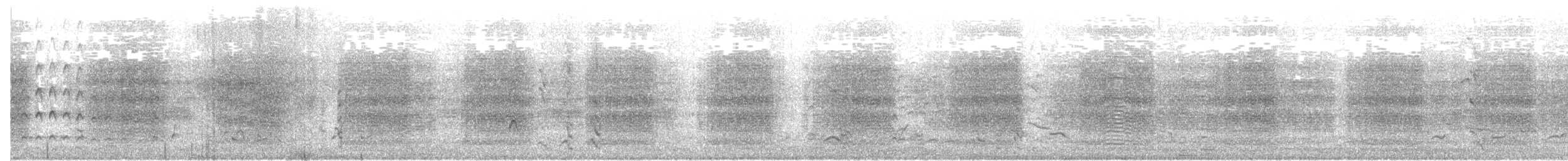 kakadu běloocasý - ML250808671